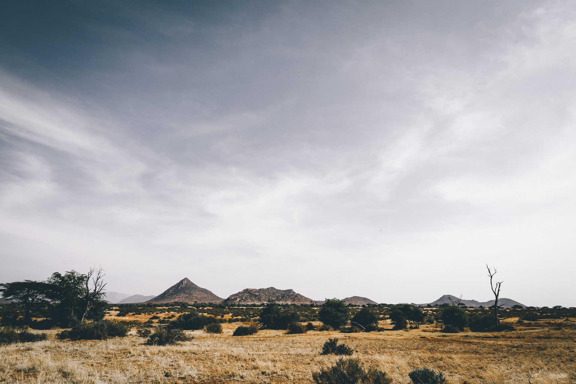 An Overview of Blockchain in Africa