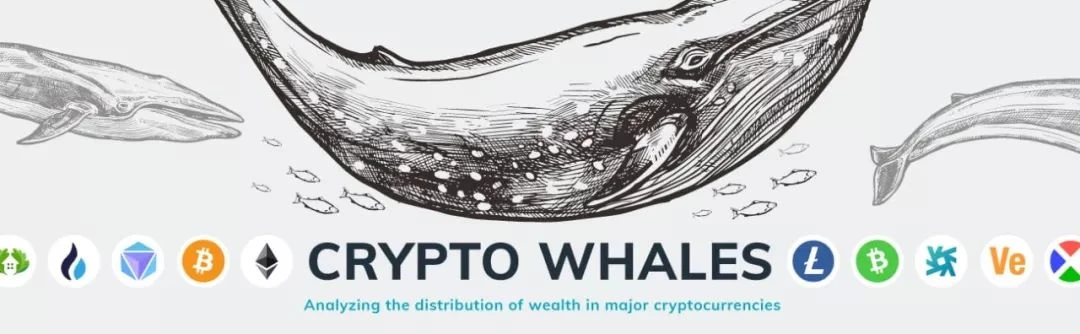巨鲸最能在哪些区块链项目掀起惊涛骇浪？