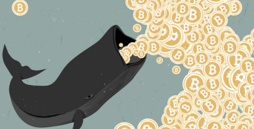 Bitcoin Whale Signals Bull Cycle Is Coming