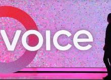 Voice反人类让人失望？群内一码难求、热门80%被国人占据