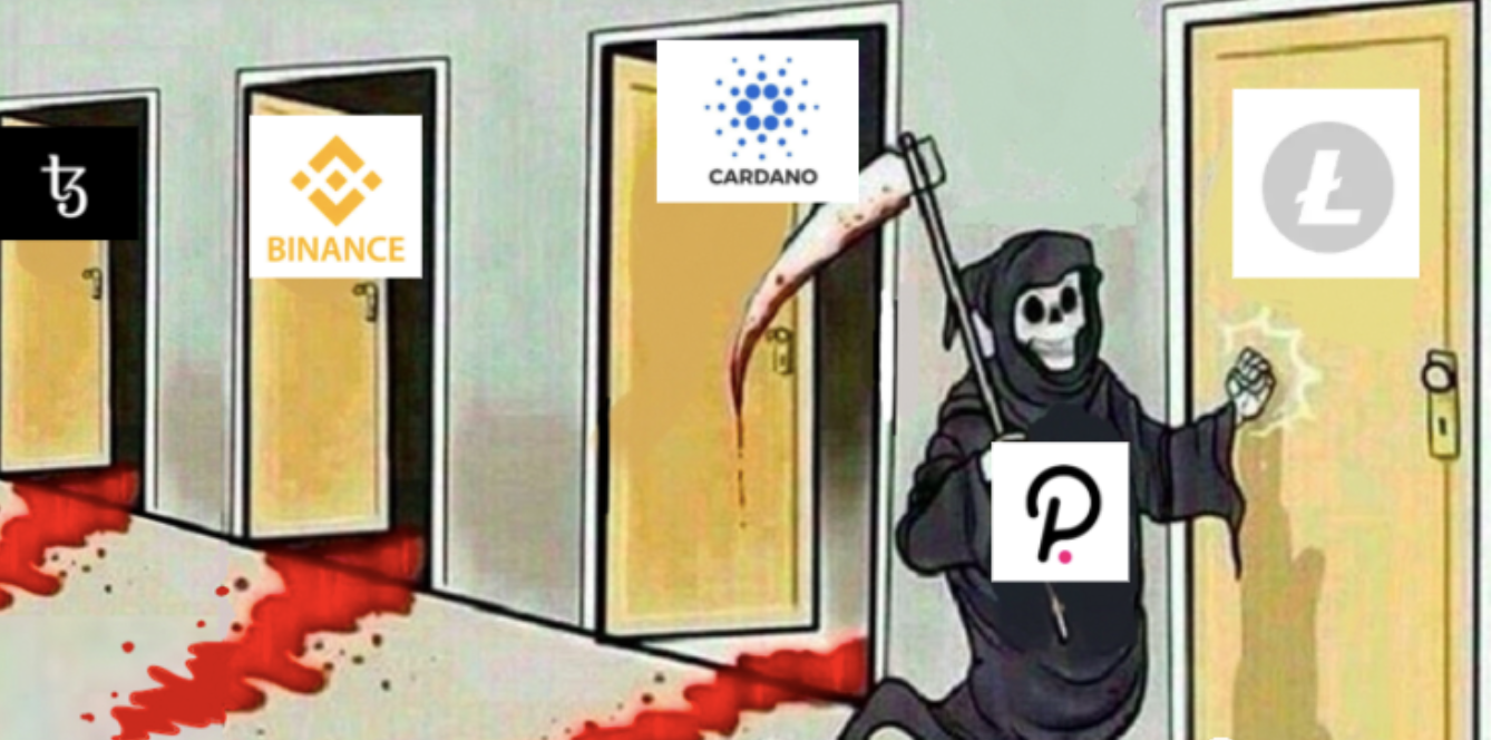 排名上升到第7的波卡：下一个ETH还是EOS？
