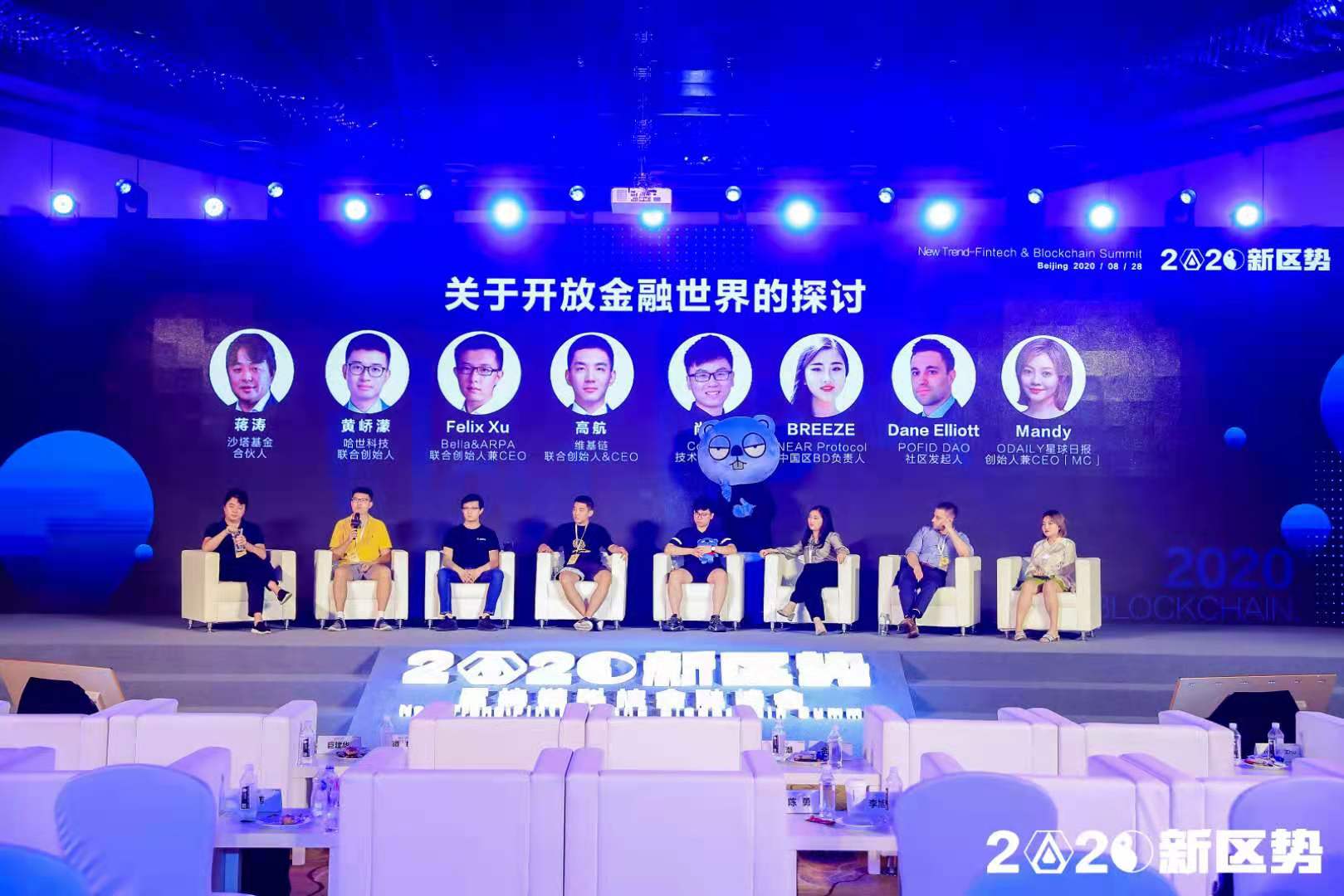 圆桌论坛：关于开放金融世界的探讨  | 2020新区势