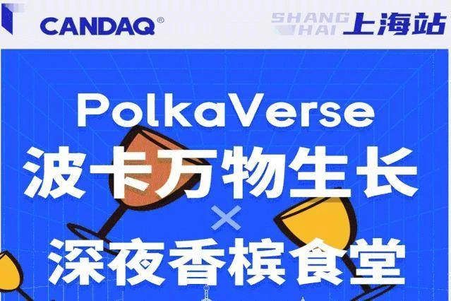 「PolkaVerse波卡万物生长」上海站项目分享