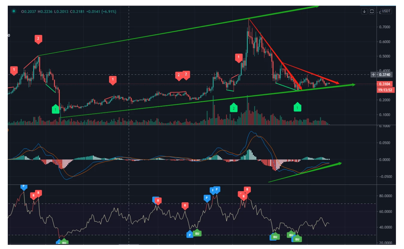 Algorand Investment Value Analysis Report | 2020-2021 Quick Understanding Lite Version