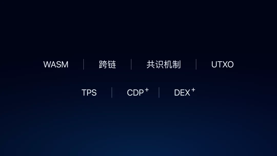 维基链联合创始人&CEO高航：公链落地的探索和实践