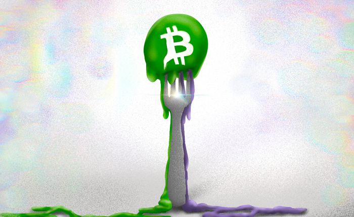 An article to understand the cause and effect of this BCH fork