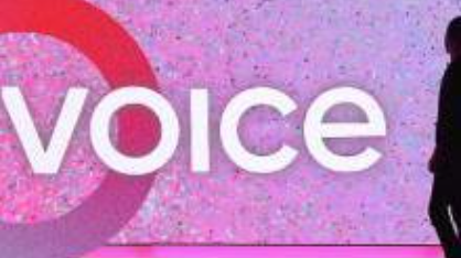 一文了解Voice现状以及3000万美元域名背后隐秘的八卦