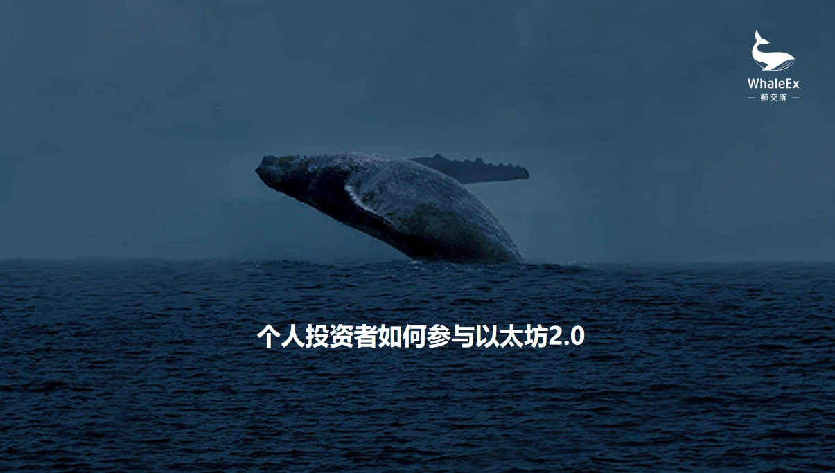 鲸交所创始人赵翼：个人投资者如何参与以太坊2.0 | 进化之路