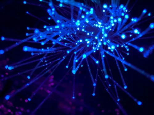 观点：为什么你应该认真对待BTC？