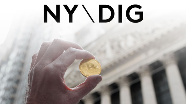 OKLink Industry Observation | Institutional Landscape of Investing in Digital Assets: Stone Ridge and New York Digital Investment Group