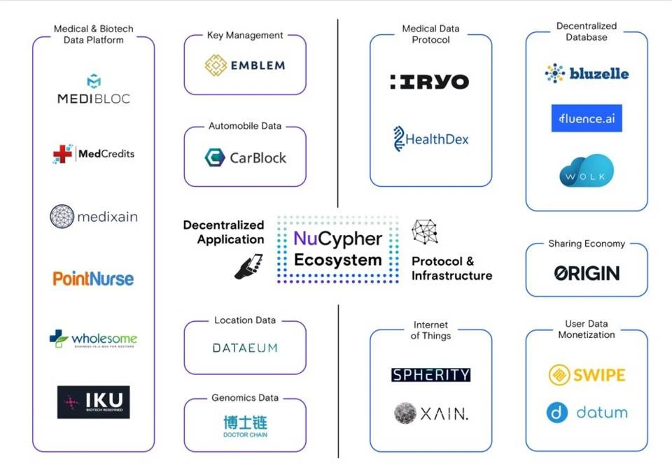 The eve of the outbreak of privacy applications: a peek at the early ecological layout of NuCypher