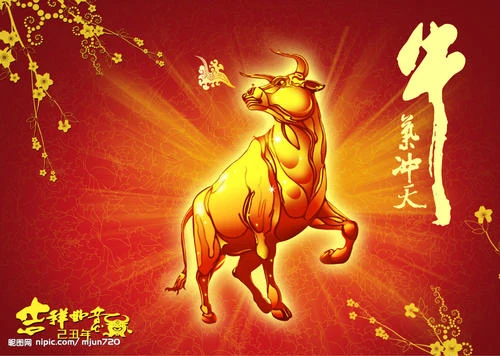火爆市场回归宁静，冷静下来的币圈何去何从？