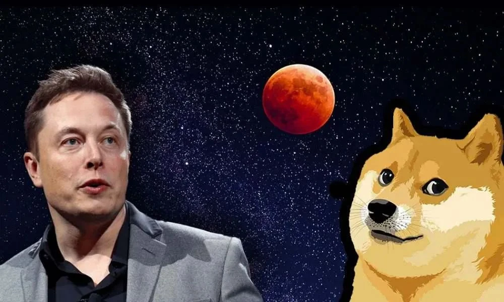 Community currency represents DOGE: Meme is affecting investment logic