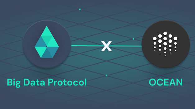 大户在Big Data Protocol上赚了多少钱？