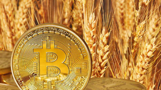 币市汇金：比特币诱多未跌到位，以太坊酝酿大行情