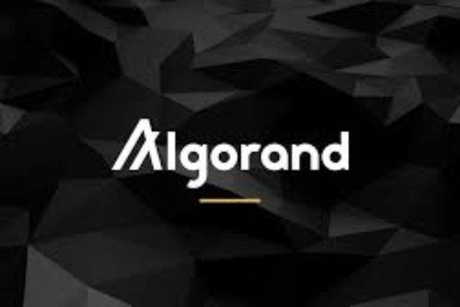 Algorand 整装上阵，将带来哪些新变革？