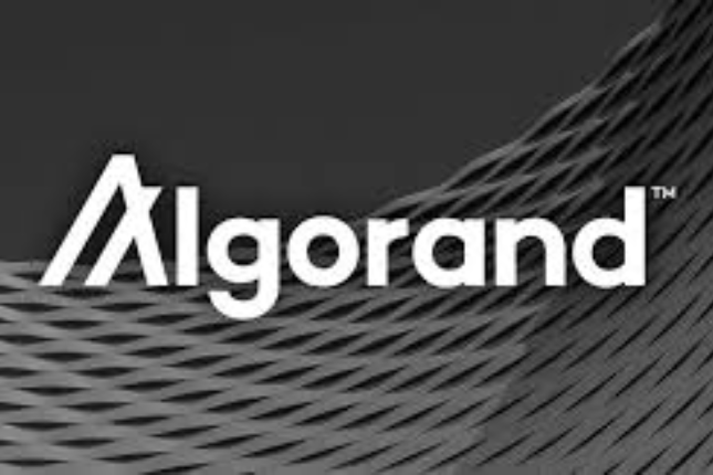 Algorand 无国界金融区块链黑客松