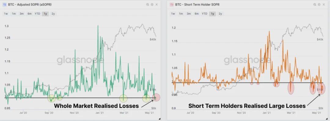 BTC 恐慌下跌中，HODLer 仍在加仓？