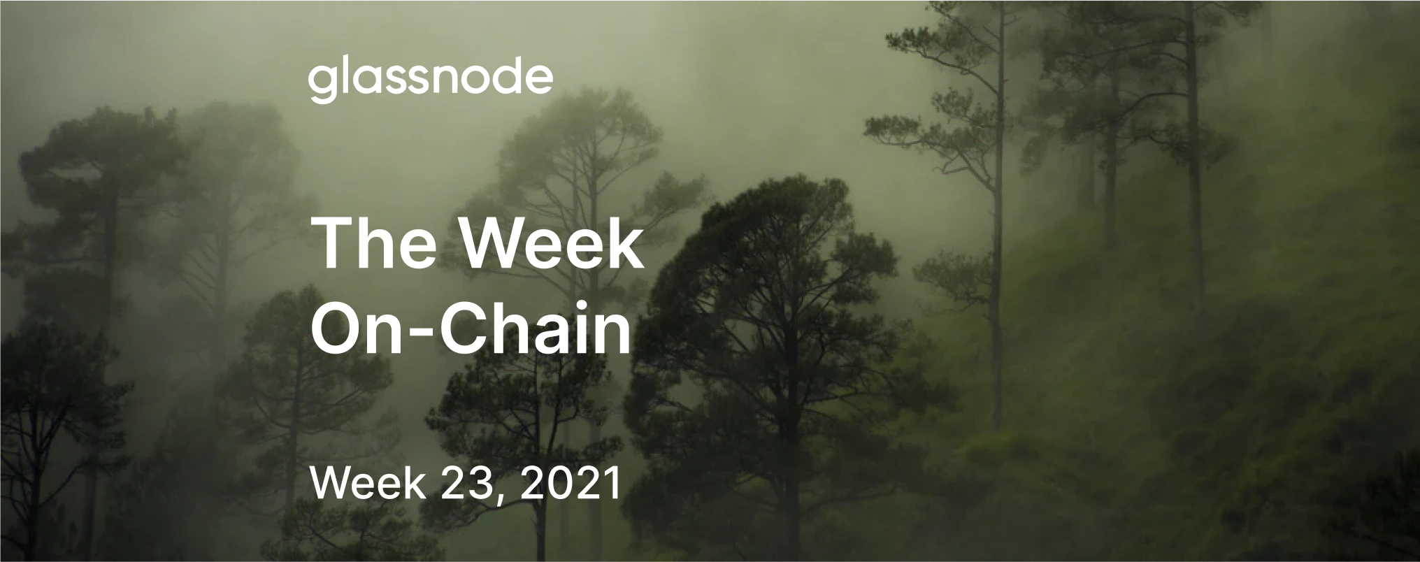 Glassnode链上周报：链上指标急剧下跌，市场走向仍不明朗