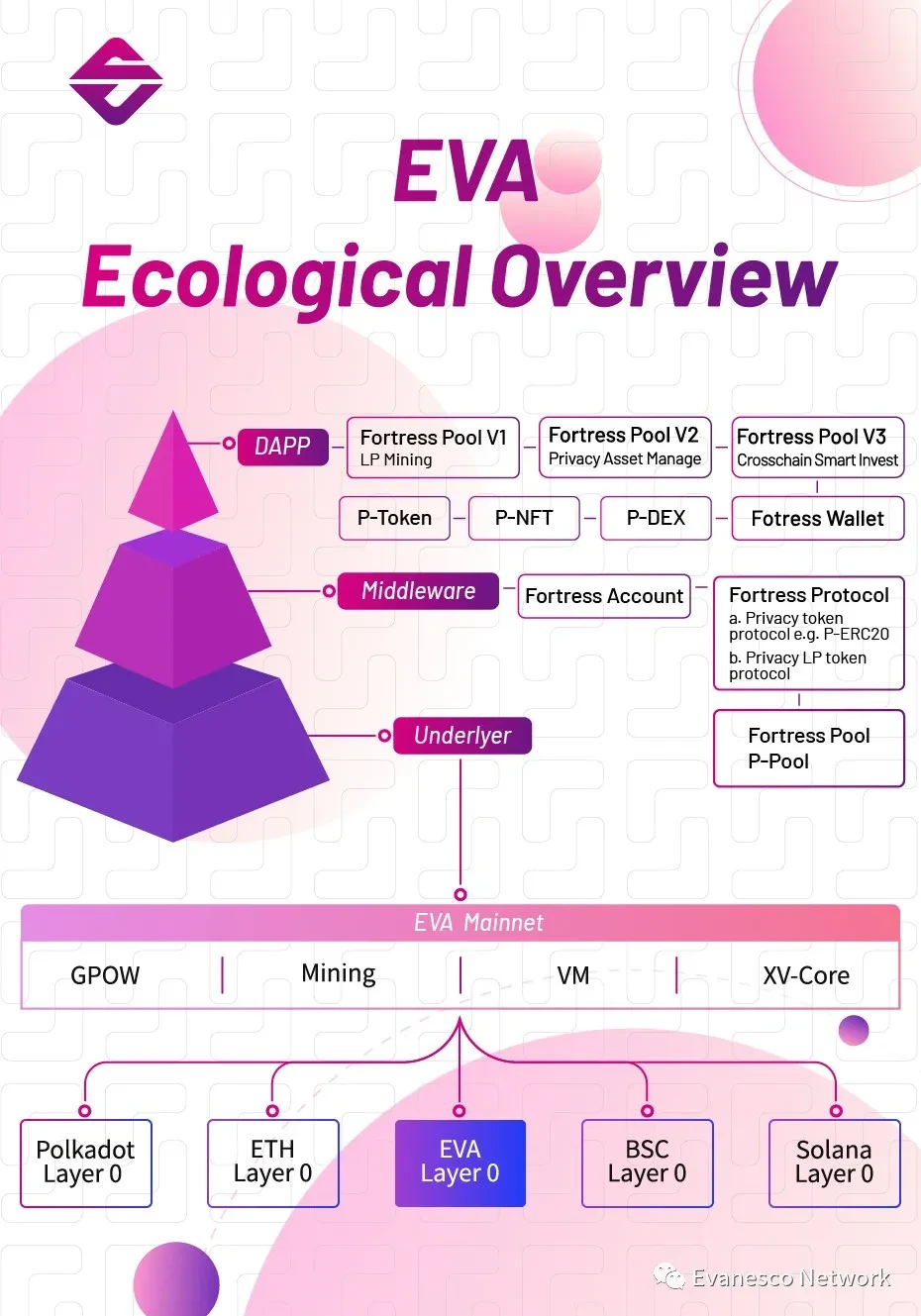 一文读懂EVA生态全貌