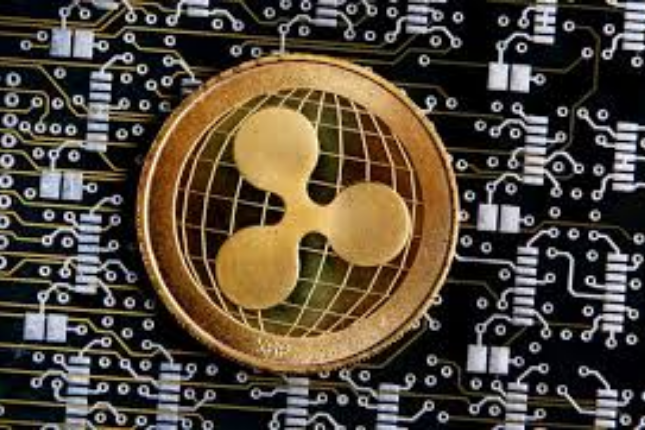 Moonbeam in the eyes of Fenbushi Capital