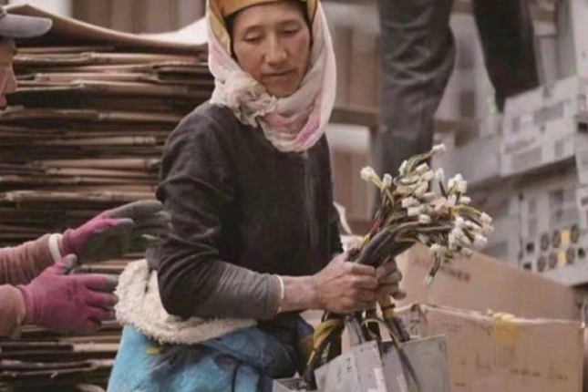 矿工再见，用区块链的方式画上句号
