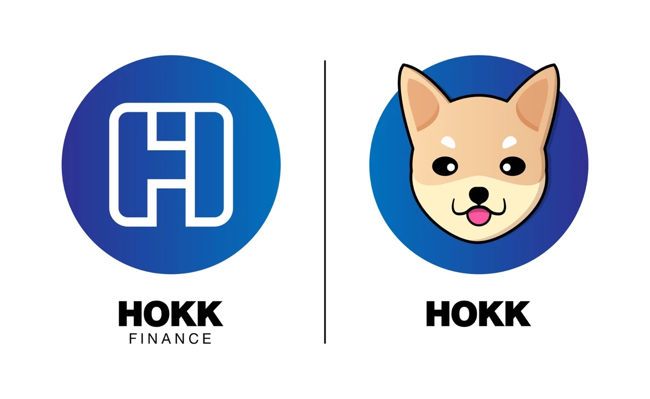 藍貝殼王者榮耀大賽之冠名商——HOKK FINANCE發展藍圖