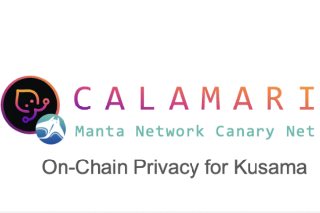 Manta Network Calamari Parachain Bidding Strategy Announced