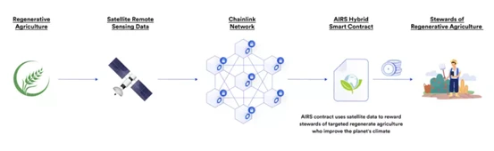 How Blockchain Technology Can Effectively Fight Climate Change