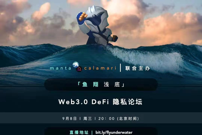 Fly Underwater — Web3.0 DeFi 隐私论坛