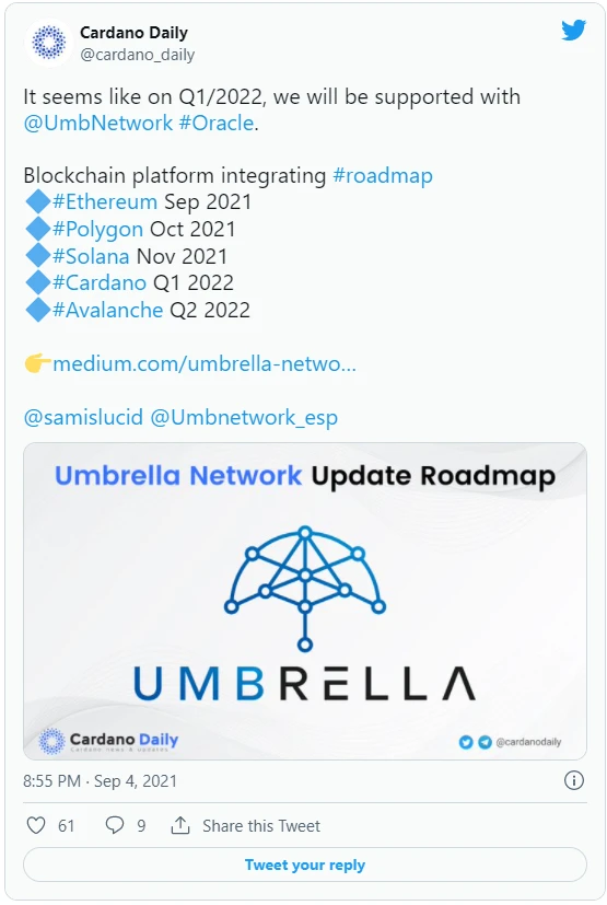 Umbrella Network 9月回顾