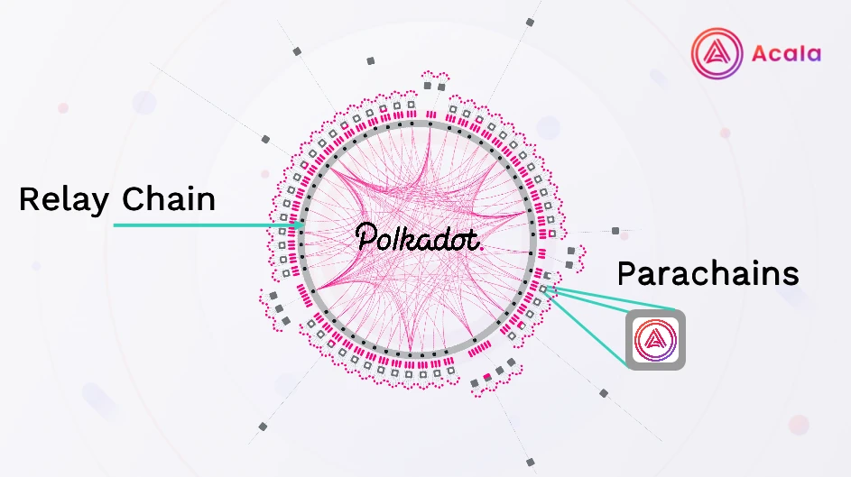 Acala开放贡献者Yu Zhu：关于Polkadot、Acala、Crowdloan的一些分享