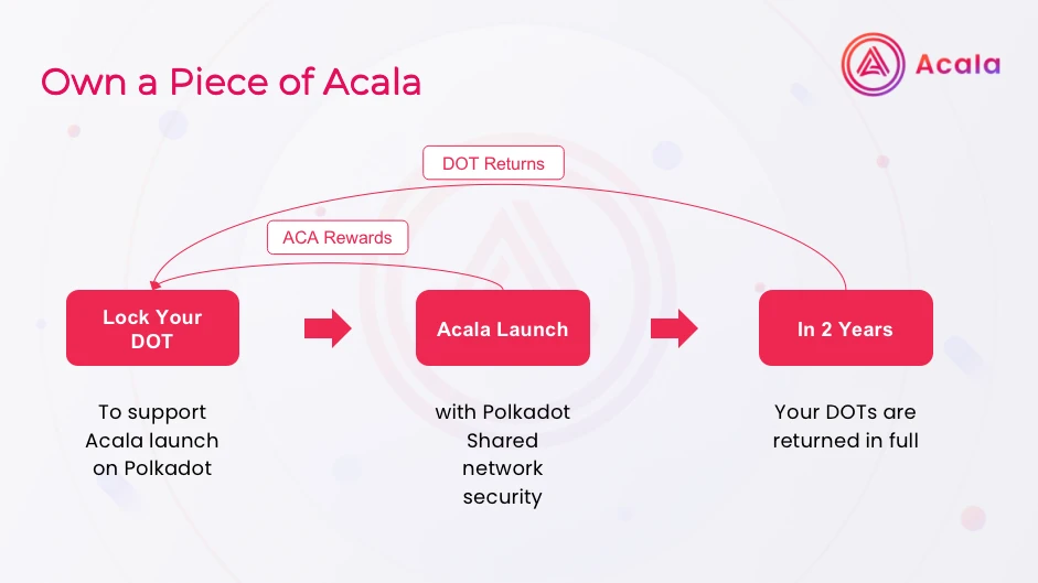 Acala开放贡献者Yu Zhu：关于Polkadot、Acala、Crowdloan的一些分享