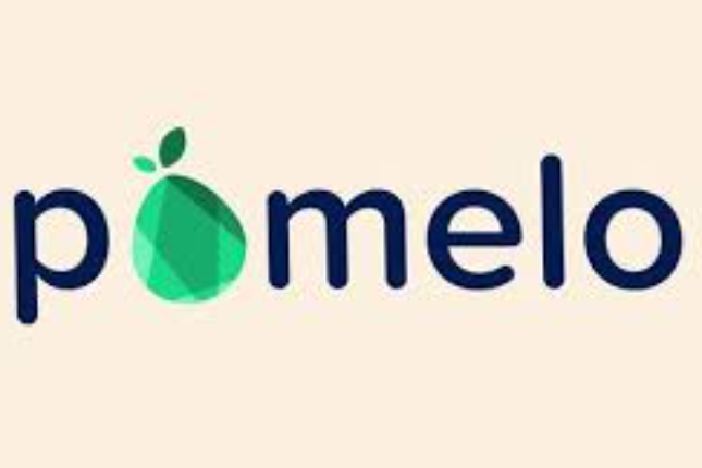 项目方如何在Pomelo上申请资助？ | Pomelo正式上线并开启项目资助申请