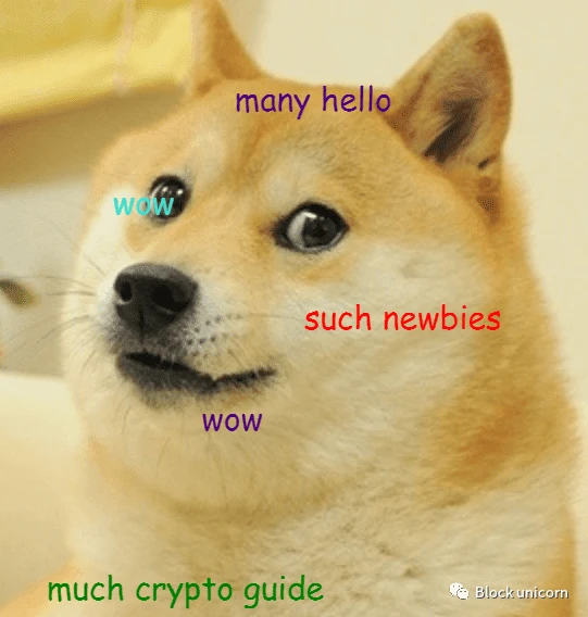 BitMEX CEO：关于加密模因的演变与重要性