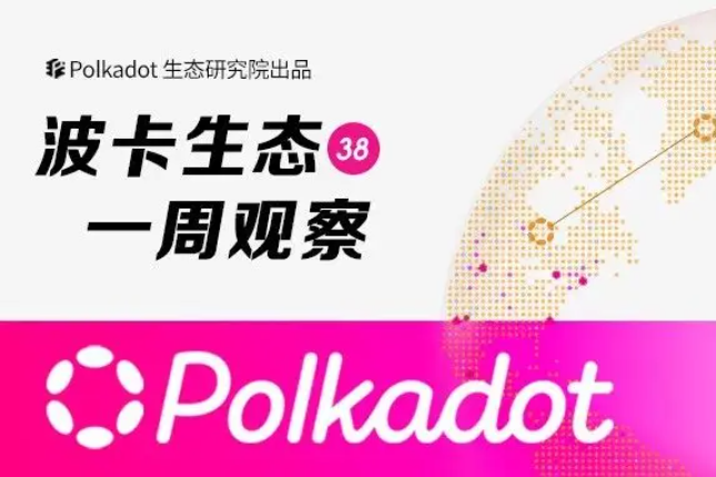 波卡生态周报：波卡正在进入下一阶段，向Web3的愿景迈进