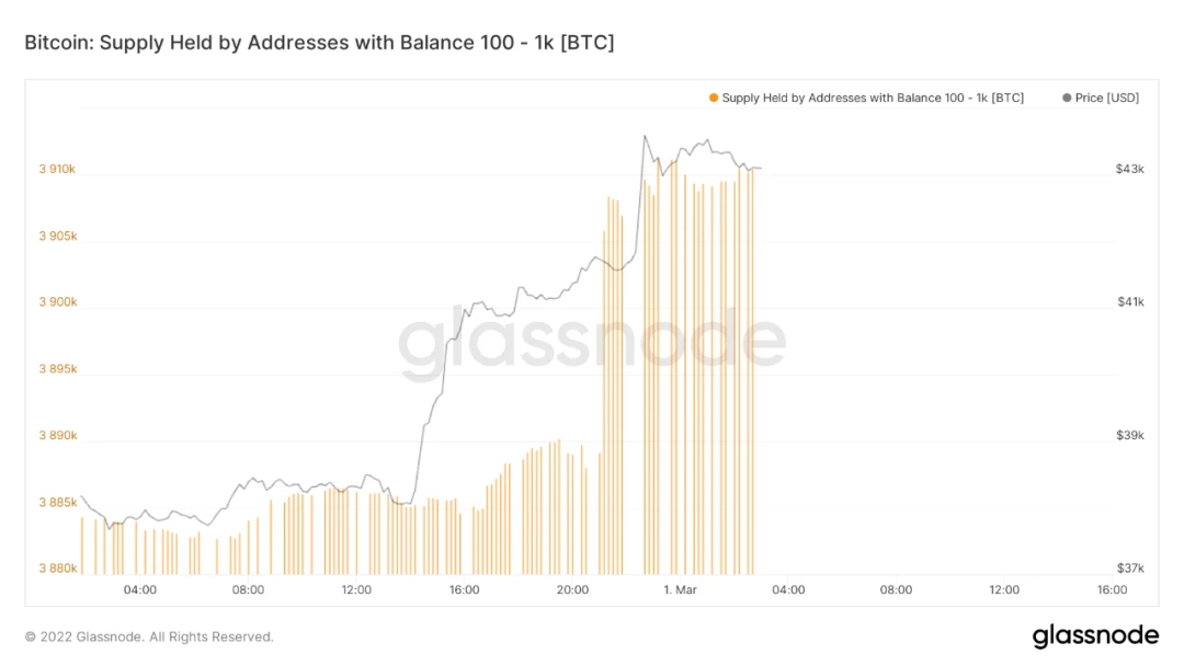 数据洞察：市场开启暴力反弹，是谁买走了你的BTC？
