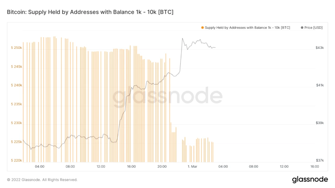 数据洞察：市场开启暴力反弹，是谁买走了你的BTC？