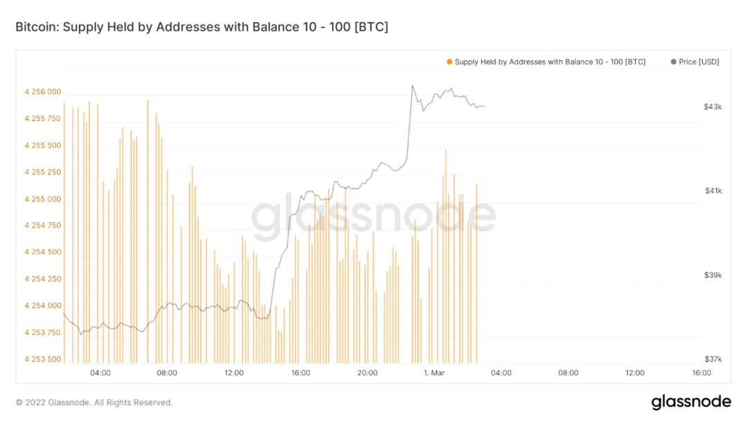 数据洞察：市场开启暴力反弹，是谁买走了你的BTC？