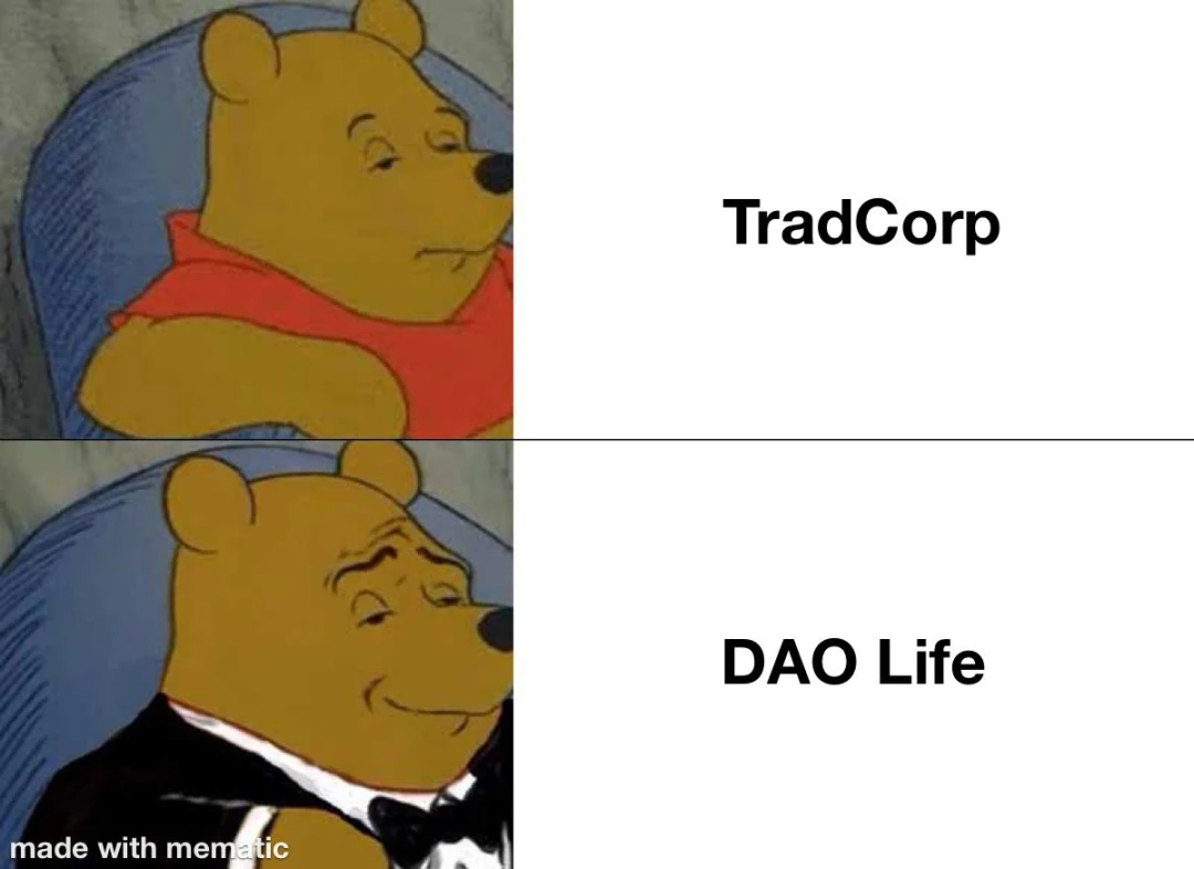 21世纪的制度对决：DAO vs 公司制