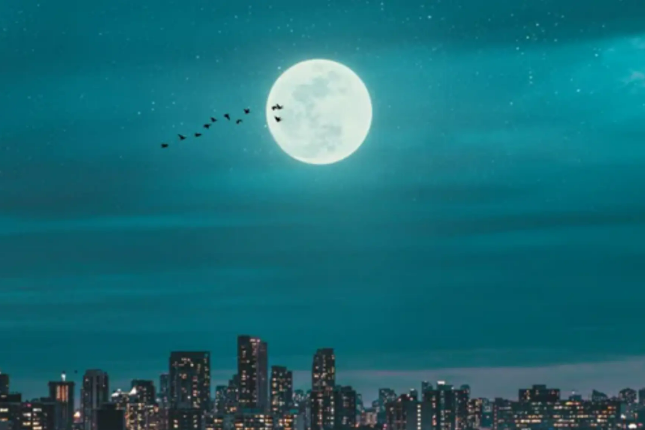 Unanchored Moonlight: Terra’s Origin, Predicament, Deduction, and Way Out