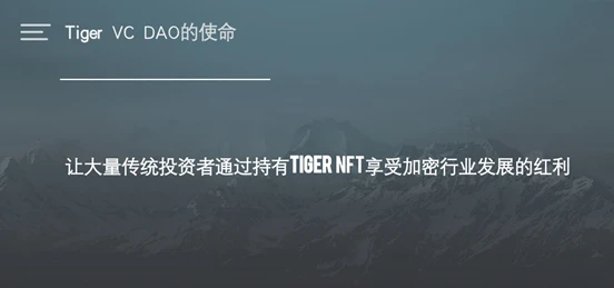 Tiger NFT Holder首次会议纪要