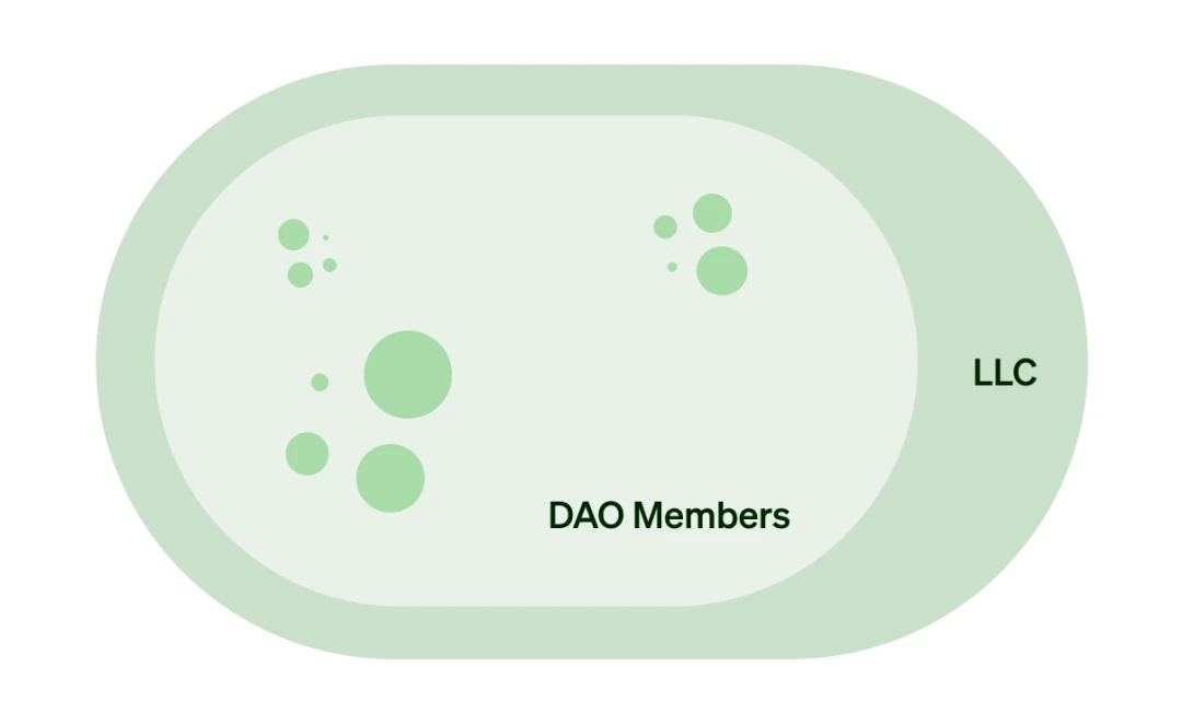 DAOrayaki：全面对比DAO的各种法律结构