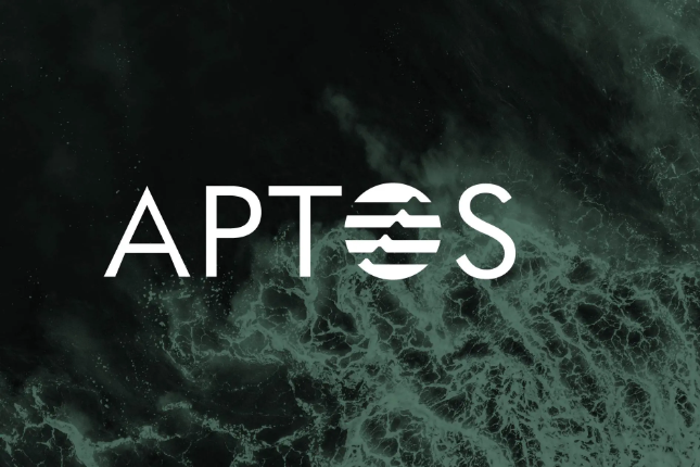 Explain in detail the advantages and risks of Aptos, a new public chain project favored by a16z?