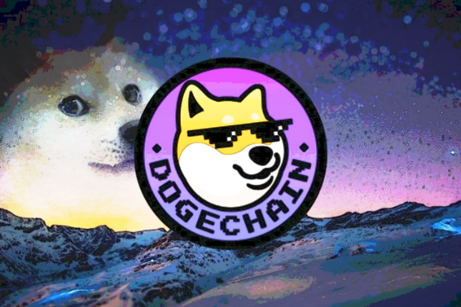 内幕交易、团队控盘，谨慎参与DogeChain