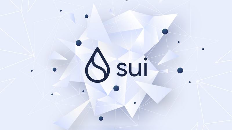 Sui 창립자의 친필: "버스를 타는 것"을 예로 들어 Sui의 성능 장점을 설명하다