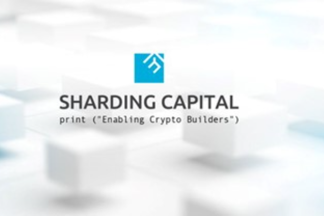 Sharding Capital合伙人：预测2023年Web3的5大增长赛道