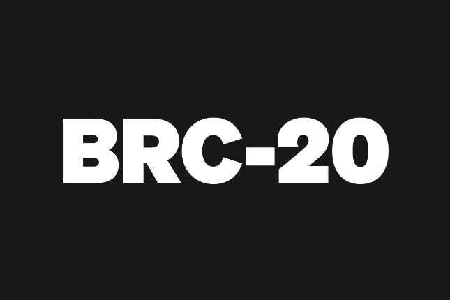 八类网站带你玩转BRC-20生态