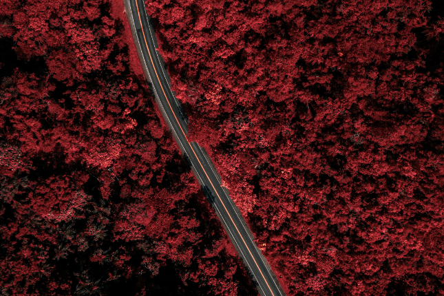 全面对比5大模块化区块链：Polygon、Avalanche、Polkadot、Cosmos、Besu