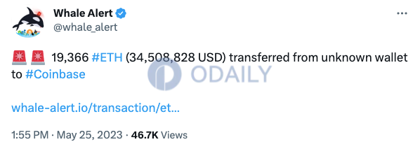 Odaily